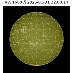 saia - 2025-01-31T22:00:14.129000