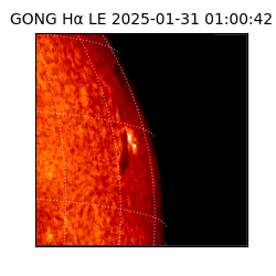 gong - 2025-01-31T01:00:42