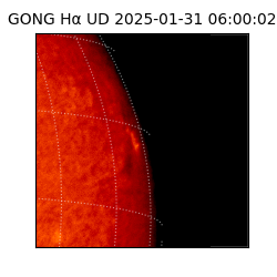gong - 2025-01-31T06:00:02
