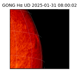 gong - 2025-01-31T08:00:02