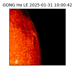gong - 2025-01-31T10:00:42
