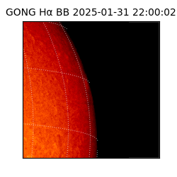 gong - 2025-01-31T22:00:02