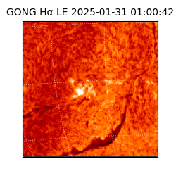 gong - 2025-01-31T01:00:42