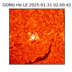 gong - 2025-01-31T02:00:42