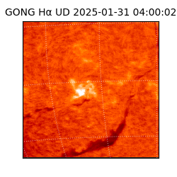 gong - 2025-01-31T04:00:02