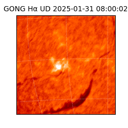 gong - 2025-01-31T08:00:02