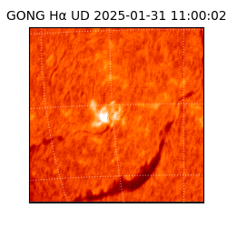 gong - 2025-01-31T11:00:02