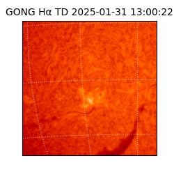 gong - 2025-01-31T13:00:22