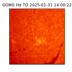 gong - 2025-01-31T14:00:22