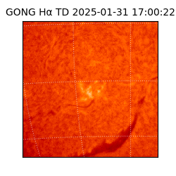 gong - 2025-01-31T17:00:22