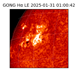 gong - 2025-01-31T01:00:42