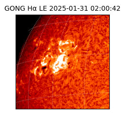 gong - 2025-01-31T02:00:42