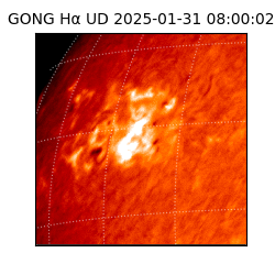 gong - 2025-01-31T08:00:02