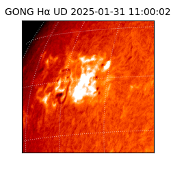 gong - 2025-01-31T11:00:02