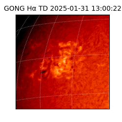 gong - 2025-01-31T13:00:22