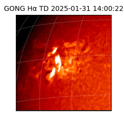 gong - 2025-01-31T14:00:22