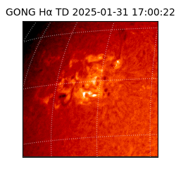 gong - 2025-01-31T17:00:22