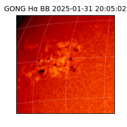 gong - 2025-01-31T20:05:02