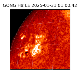 gong - 2025-01-31T01:00:42