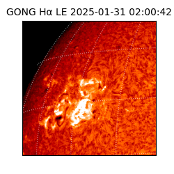 gong - 2025-01-31T02:00:42