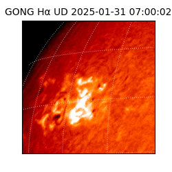 gong - 2025-01-31T07:00:02