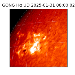 gong - 2025-01-31T08:00:02