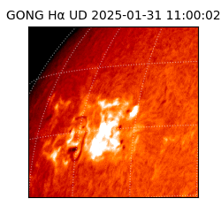 gong - 2025-01-31T11:00:02