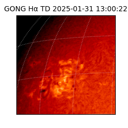 gong - 2025-01-31T13:00:22