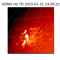 gong - 2025-01-31T14:00:22