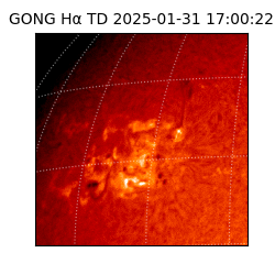 gong - 2025-01-31T17:00:22