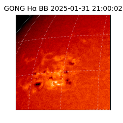 gong - 2025-01-31T21:00:02