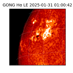 gong - 2025-01-31T01:00:42