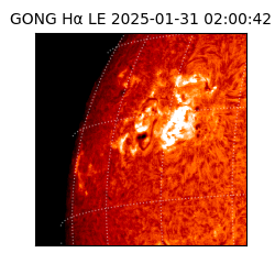 gong - 2025-01-31T02:00:42