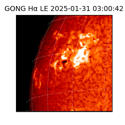 gong - 2025-01-31T03:00:42
