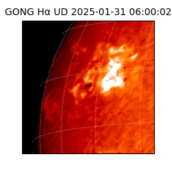 gong - 2025-01-31T06:00:02