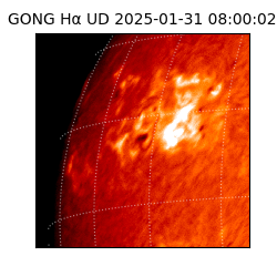 gong - 2025-01-31T08:00:02