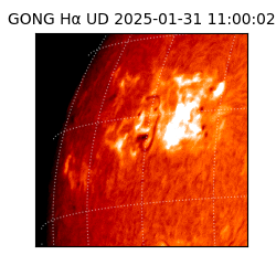 gong - 2025-01-31T11:00:02