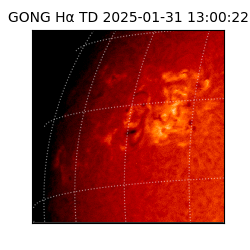 gong - 2025-01-31T13:00:22