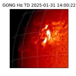 gong - 2025-01-31T14:00:22