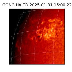 gong - 2025-01-31T15:00:22