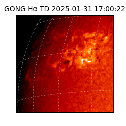 gong - 2025-01-31T17:00:22