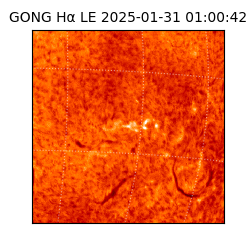 gong - 2025-01-31T01:00:42