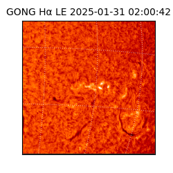 gong - 2025-01-31T02:00:42