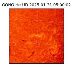 gong - 2025-01-31T05:00:02