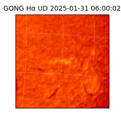 gong - 2025-01-31T06:00:02