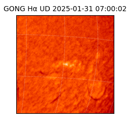 gong - 2025-01-31T07:00:02