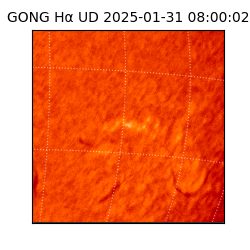 gong - 2025-01-31T08:00:02