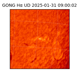 gong - 2025-01-31T09:00:02