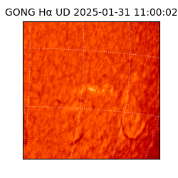 gong - 2025-01-31T11:00:02