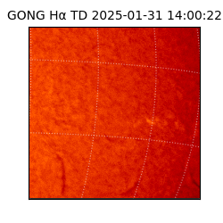 gong - 2025-01-31T14:00:22